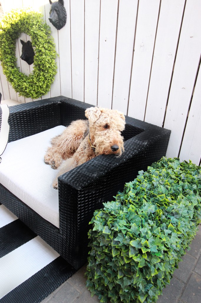 black white green patio design topiary faux deck decor outdoor striped rug 